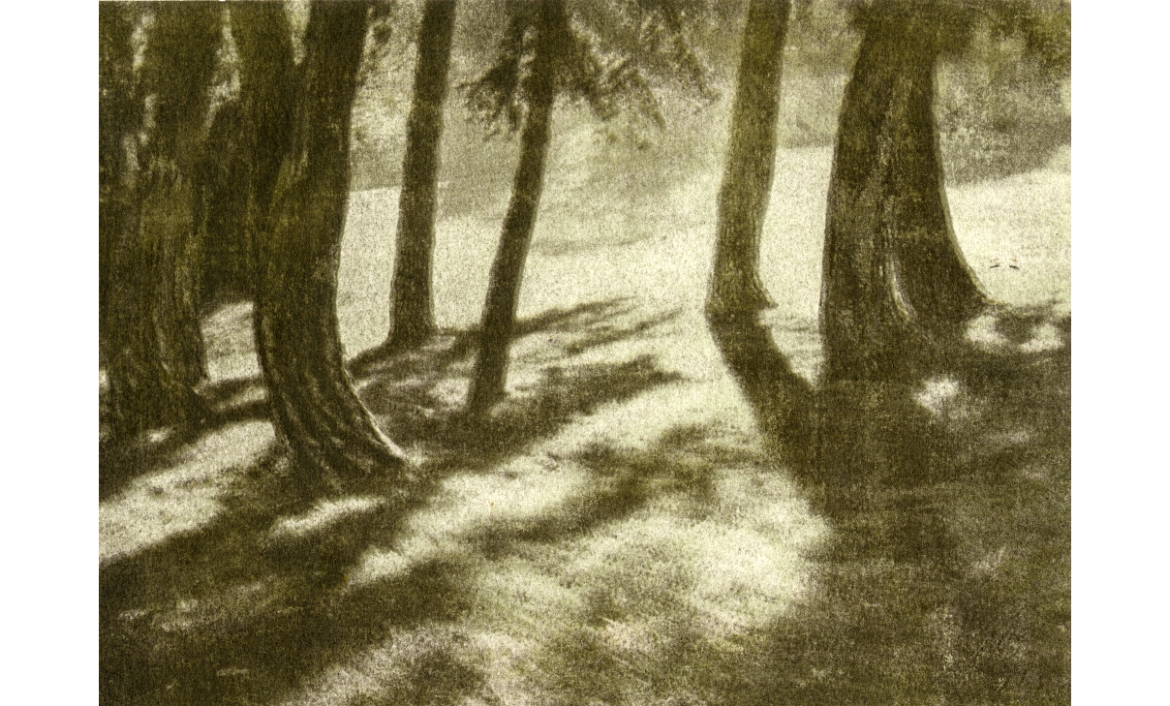Parc des Buttes Chaumont, c1995. Marie-Louise Bréhant. Goma Bricomatada CIMIR/ Premis Ciutat de Reus de Fotografia / reg: 03096