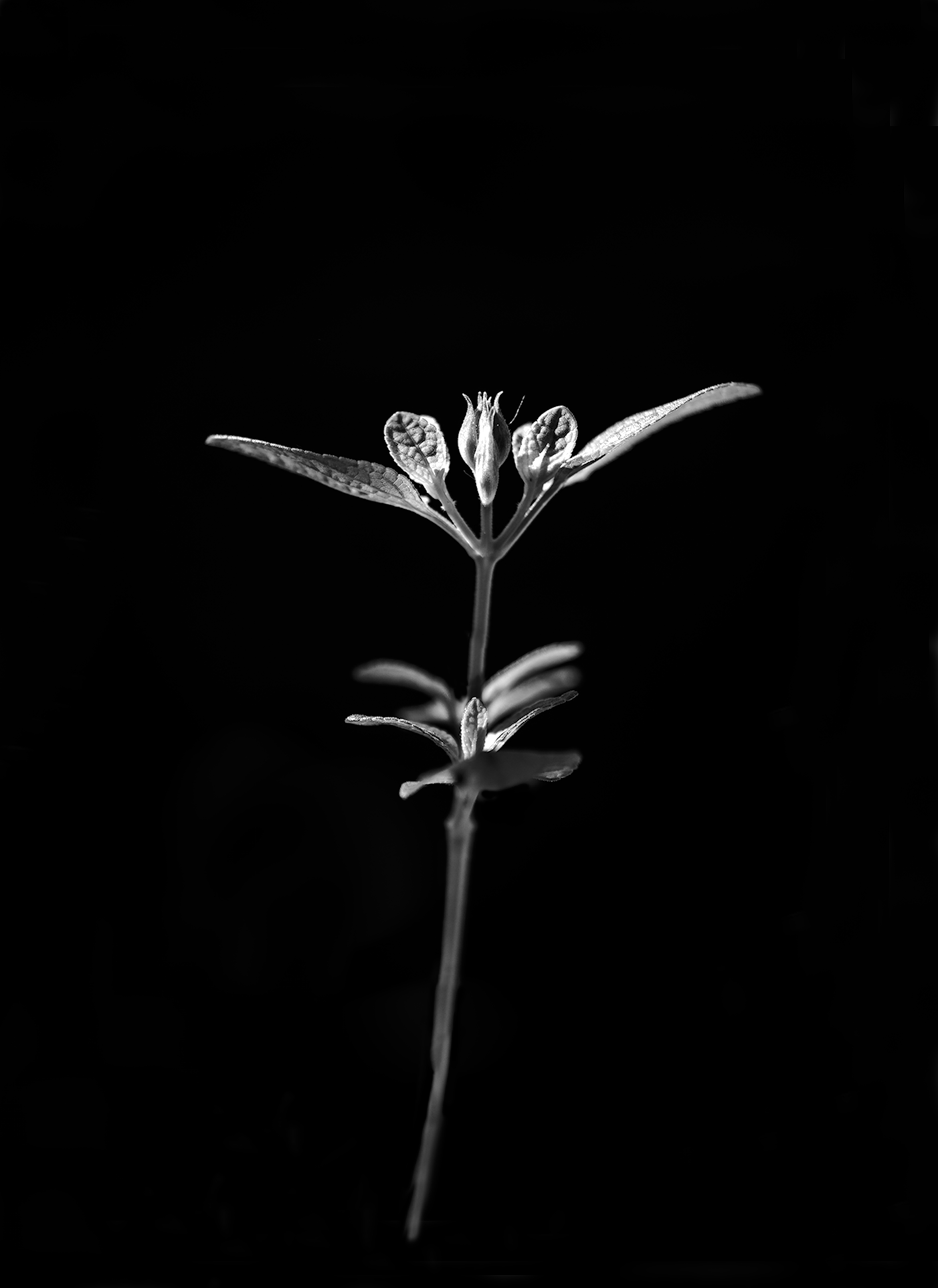 _img2938-884x589