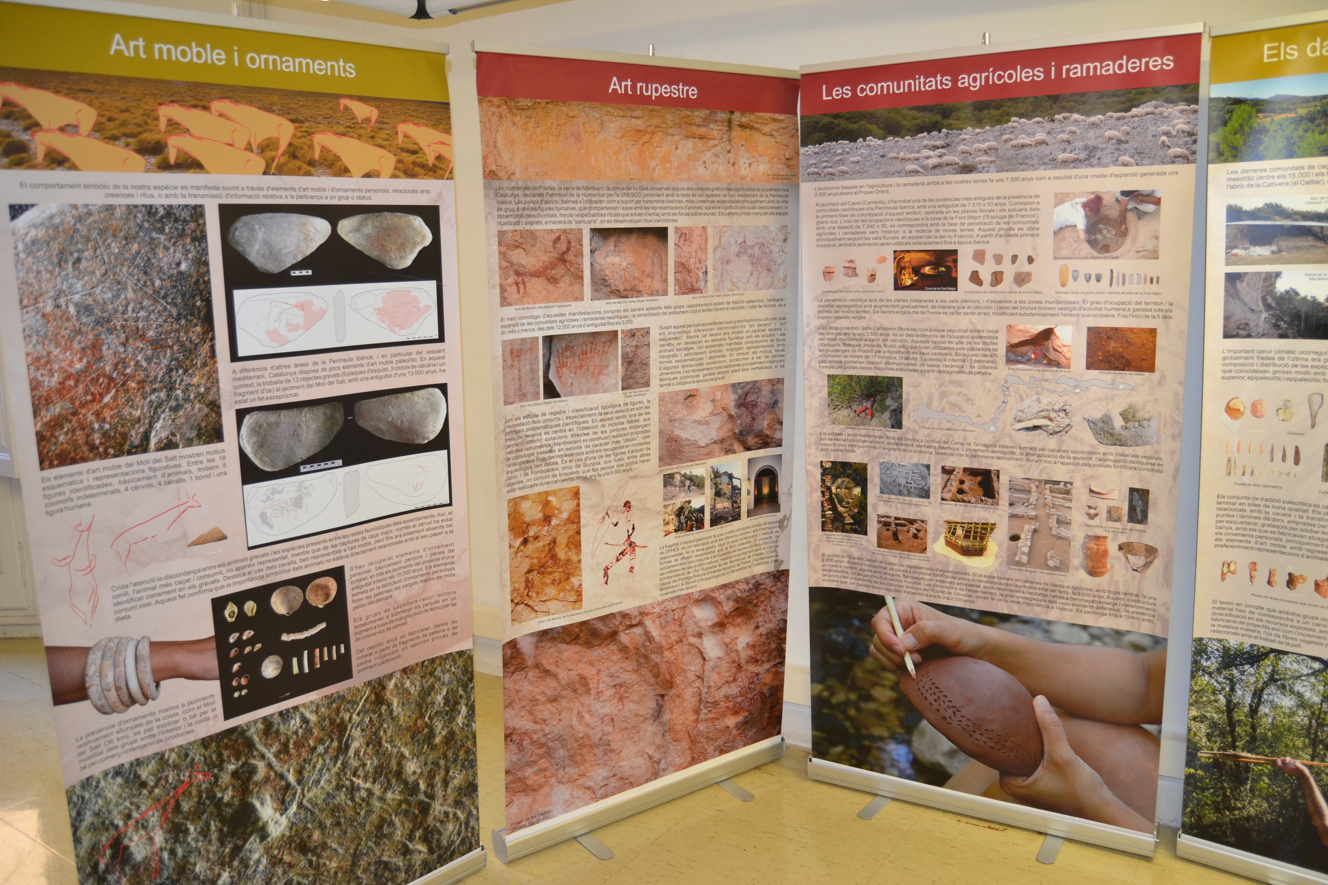 imatge de la noticia Exposició sobre l'evolució paleoambiental i poblament prehistòric a les conques dels rius Francolí, Gaià i Siurana i de les rieres del Camp de Tarragona