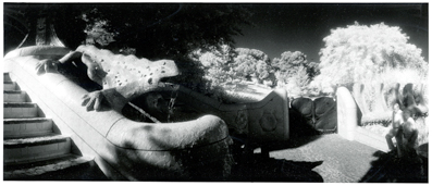 Drac del Parc Güell 